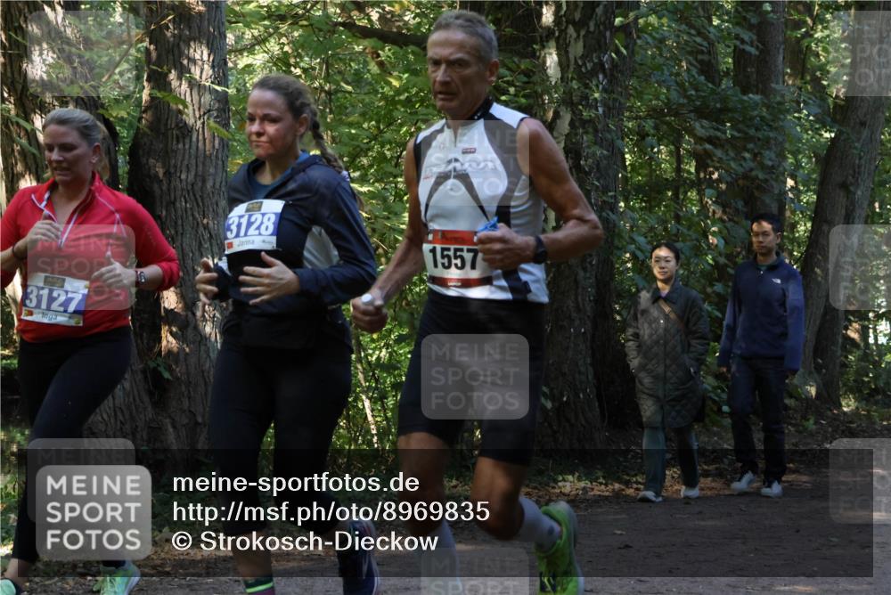 28.09.2025 - 33. Volkslauf durch das schöne Alstertal Strokosch-Dieckow http://msf.ph/oto/8969835 28.09.2025 11:36:44 Laufen 43127, 3128, 1557 meine-sportfotos.de