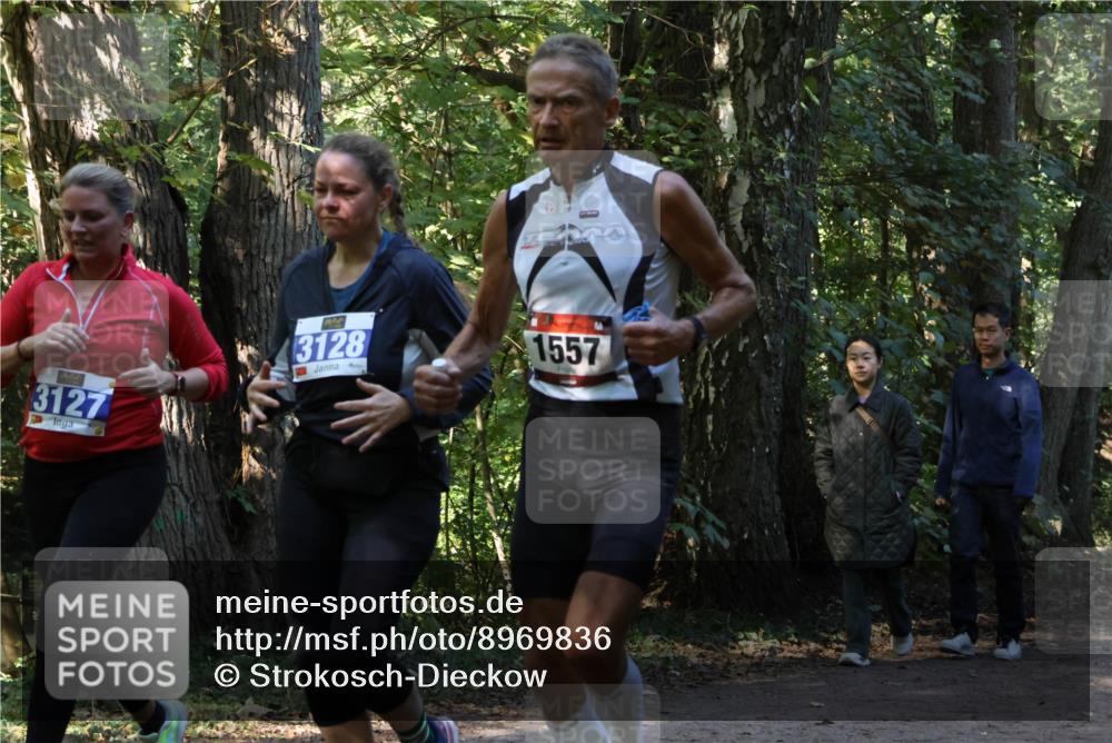 28.09.2025 - 33. Volkslauf durch das schöne Alstertal Strokosch-Dieckow http://msf.ph/oto/8969836 28.09.2025 11:36:44 Laufen 3127, 720, 3128, 1557 meine-sportfotos.de