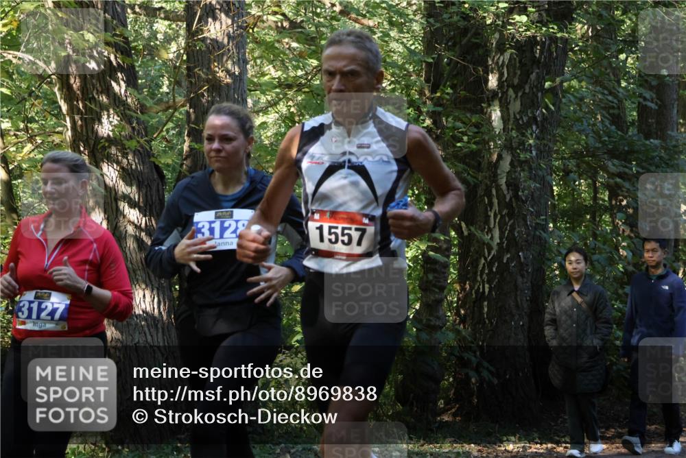 28.09.2025 - 33. Volkslauf durch das schöne Alstertal Strokosch-Dieckow http://msf.ph/oto/8969838 28.09.2025 11:36:45 Laufen 720, 3127, 3128, 1557 meine-sportfotos.de