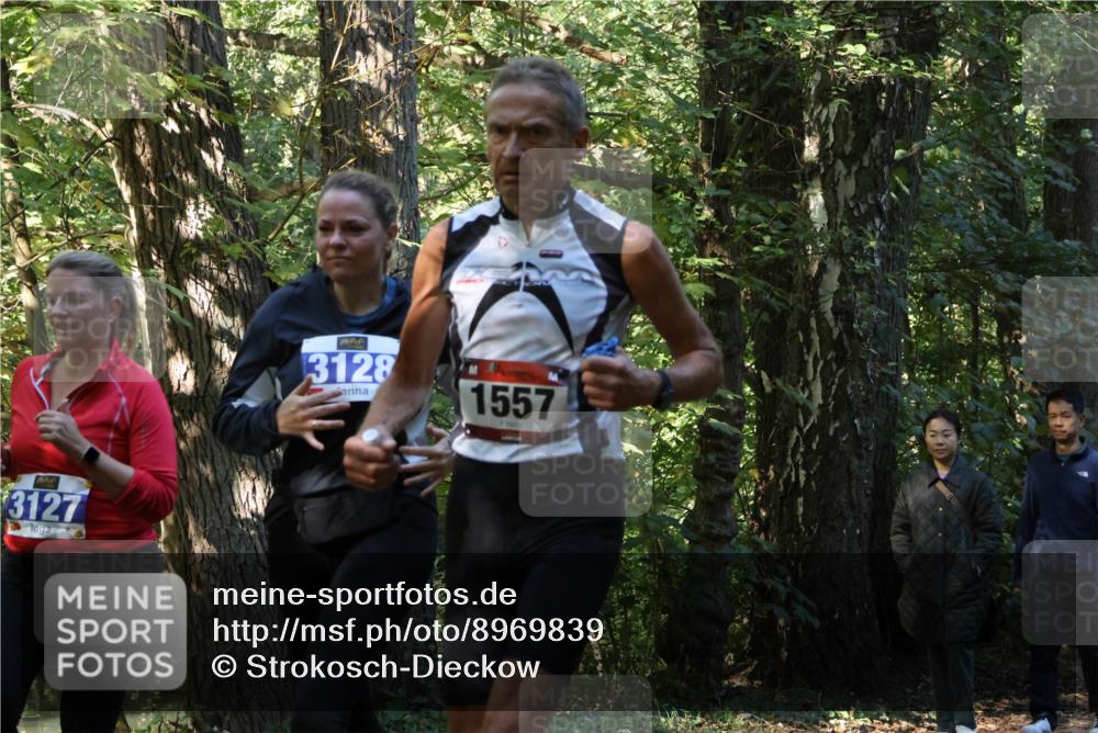 28.09.2025 - 33. Volkslauf durch das schöne Alstertal Strokosch-Dieckow http://msf.ph/oto/8969839 28.09.2025 11:36:45 Laufen 3127, 3128, 1557 meine-sportfotos.de