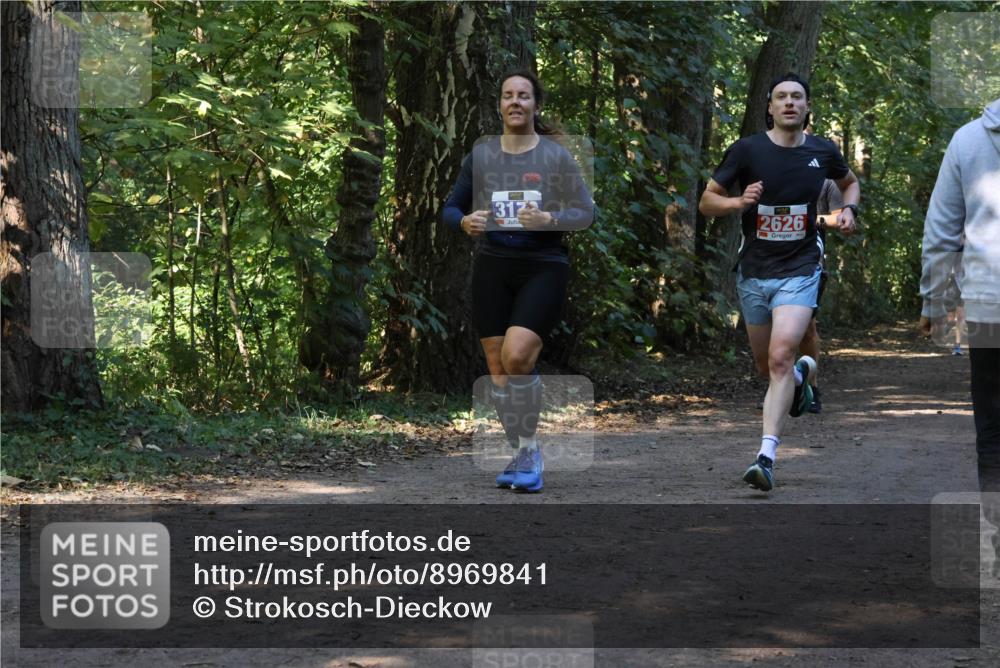 28.09.2025 - 33. Volkslauf durch das schöne Alstertal Strokosch-Dieckow http://msf.ph/oto/8969841 28.09.2025 11:36:52 Laufen 3123, 2626 meine-sportfotos.de
