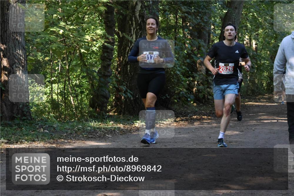 28.09.2025 - 33. Volkslauf durch das schöne Alstertal Strokosch-Dieckow http://msf.ph/oto/8969842 28.09.2025 11:36:52 Laufen 3170, 2626 meine-sportfotos.de