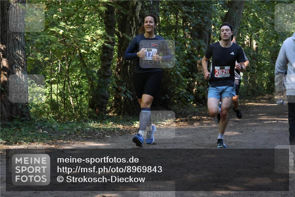 28.09.2025 - 33. Volkslauf durch das schöne Alstertal Strokosch-Dieckow http://msf.ph/oto/8969843 28.09.2025 11:36:52 Laufen 170, 2626 meine-sportfotos.de