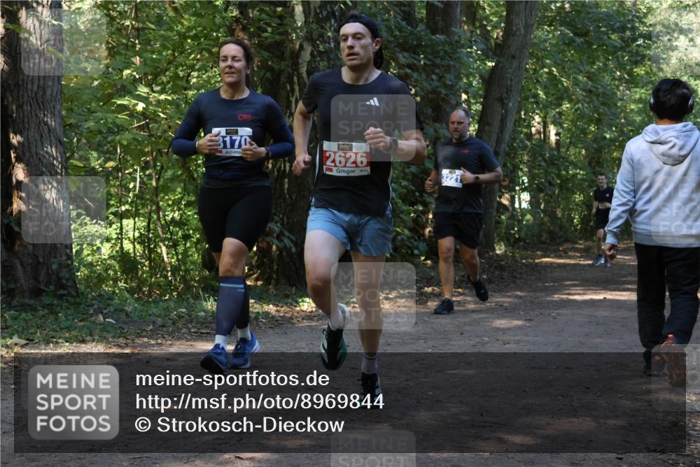 28.09.2025 - 33. Volkslauf durch das schöne Alstertal Strokosch-Dieckow http://msf.ph/oto/8969844 28.09.2025 11:36:53 Laufen 3170, 2626, 3221 meine-sportfotos.de