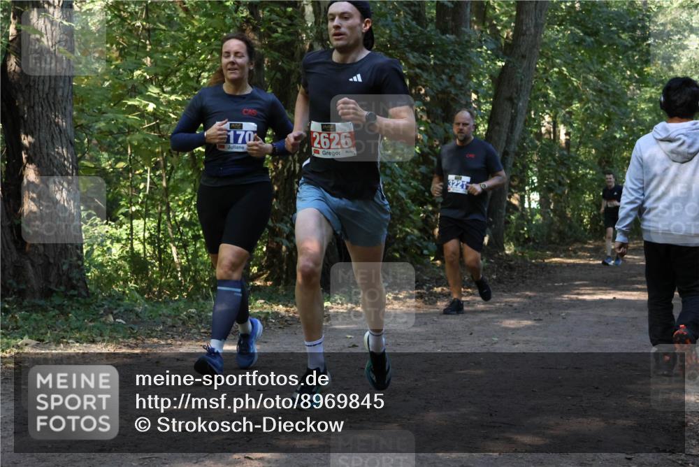 28.09.2025 - 33. Volkslauf durch das schöne Alstertal Strokosch-Dieckow http://msf.ph/oto/8969845 28.09.2025 11:36:53 Laufen 170, 2626, 3221 meine-sportfotos.de