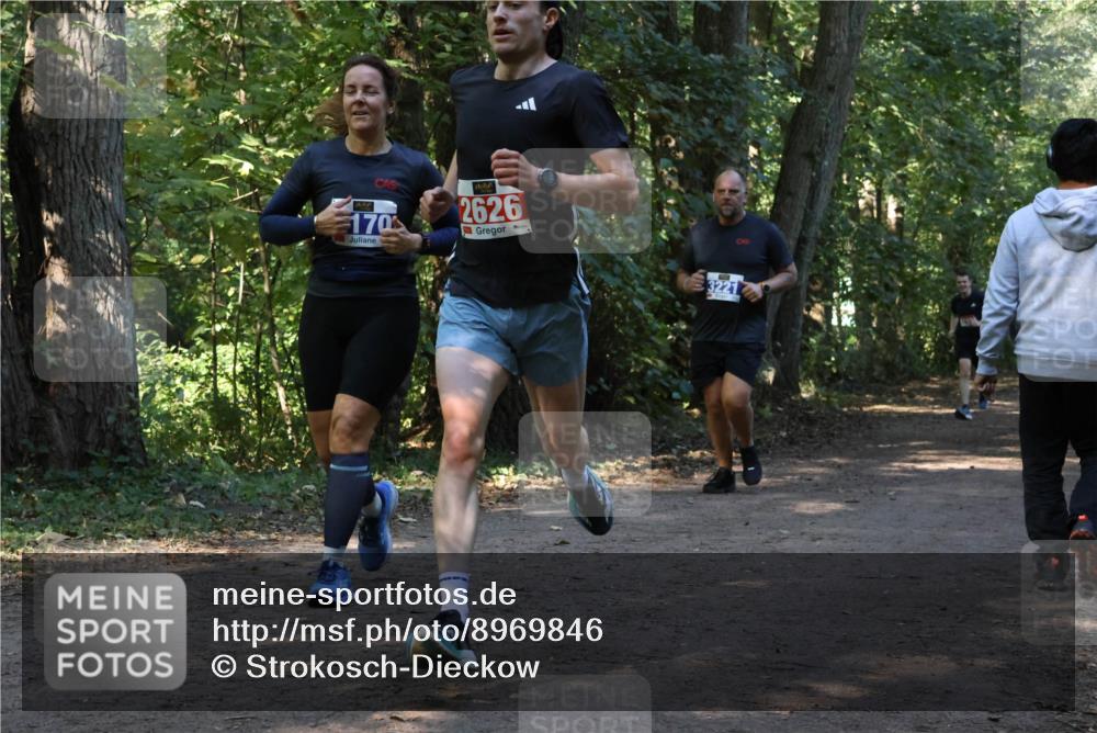 28.09.2025 - 33. Volkslauf durch das schöne Alstertal Strokosch-Dieckow http://msf.ph/oto/8969846 28.09.2025 11:36:53 Laufen 170, 2626, 3221 meine-sportfotos.de