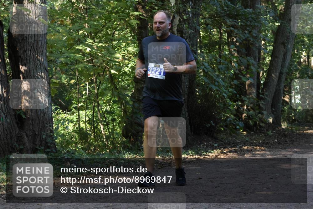 28.09.2025 - 33. Volkslauf durch das schöne Alstertal Strokosch-Dieckow http://msf.ph/oto/8969847 28.09.2025 11:36:55 Laufen 3221 meine-sportfotos.de