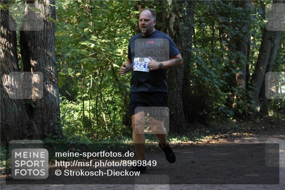 28.09.2025 - 33. Volkslauf durch das schöne Alstertal Strokosch-Dieckow http://msf.ph/oto/8969849 28.09.2025 11:36:55 Laufen 3221 meine-sportfotos.de