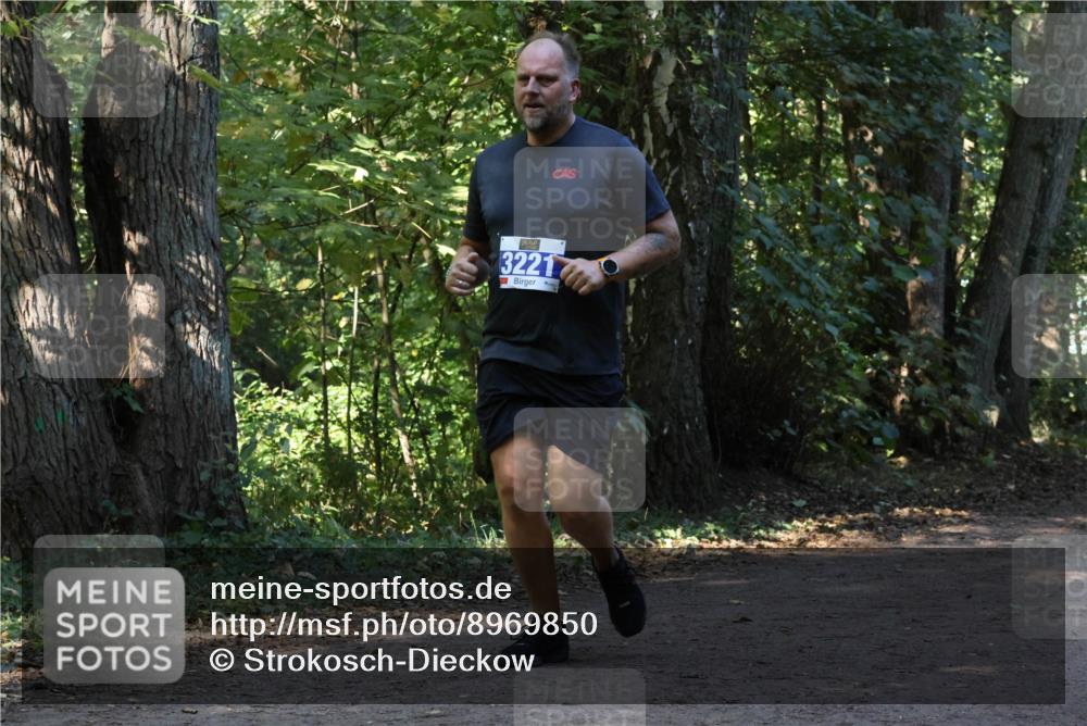 28.09.2025 - 33. Volkslauf durch das schöne Alstertal Strokosch-Dieckow http://msf.ph/oto/8969850 28.09.2025 11:36:55 Laufen 3221 meine-sportfotos.de