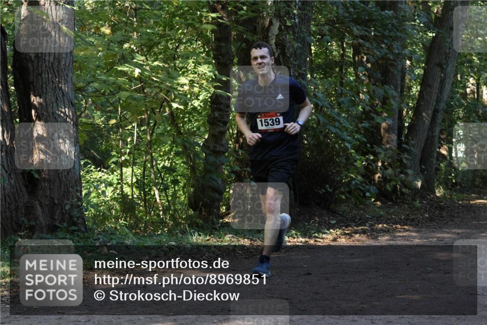 28.09.2025 - 33. Volkslauf durch das schöne Alstertal Strokosch-Dieckow http://msf.ph/oto/8969851 28.09.2025 11:36:59 Laufen 1539 meine-sportfotos.de