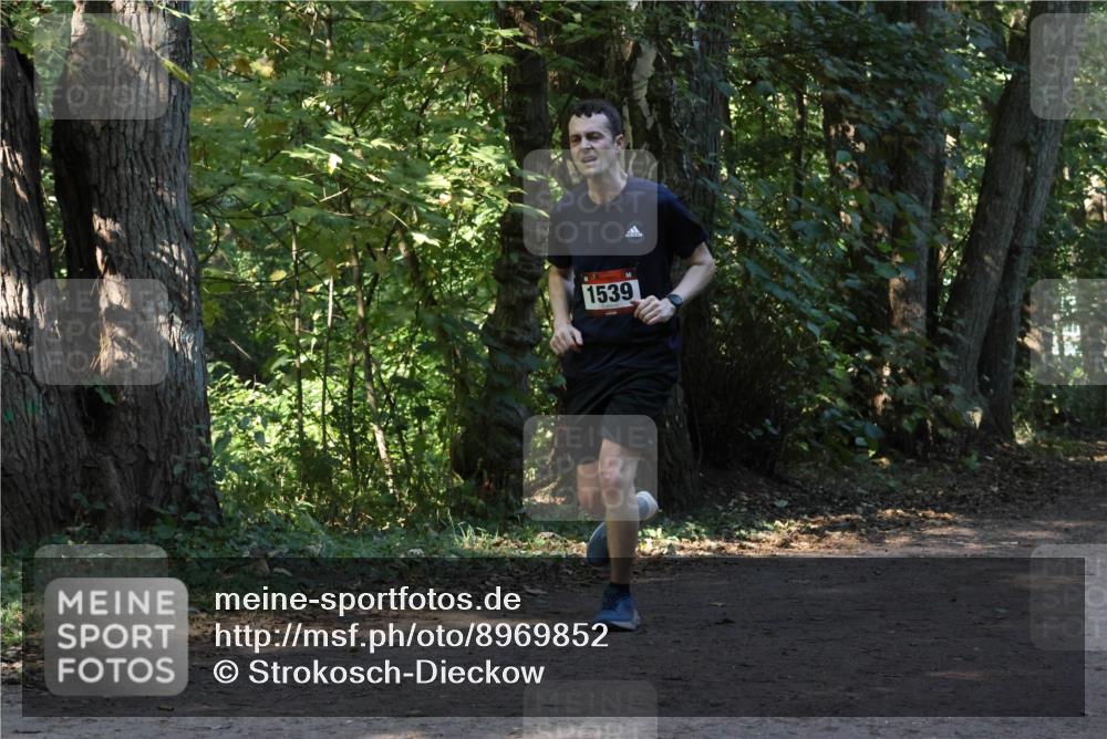 28.09.2025 - 33. Volkslauf durch das schöne Alstertal Strokosch-Dieckow http://msf.ph/oto/8969852 28.09.2025 11:36:59 Laufen 1539 meine-sportfotos.de