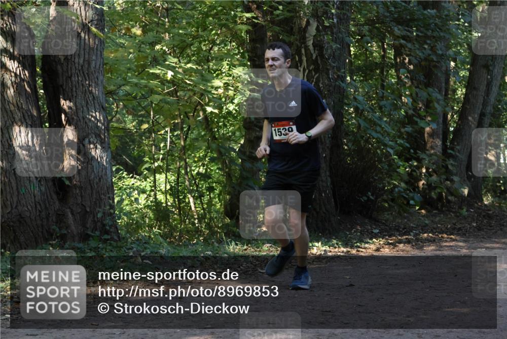 28.09.2025 - 33. Volkslauf durch das schöne Alstertal Strokosch-Dieckow http://msf.ph/oto/8969853 28.09.2025 11:36:59 Laufen 1539 meine-sportfotos.de