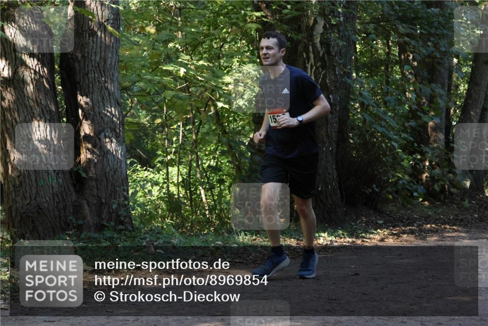 28.09.2025 - 33. Volkslauf durch das schöne Alstertal Strokosch-Dieckow http://msf.ph/oto/8969854 28.09.2025 11:36:59 Laufen 15 meine-sportfotos.de