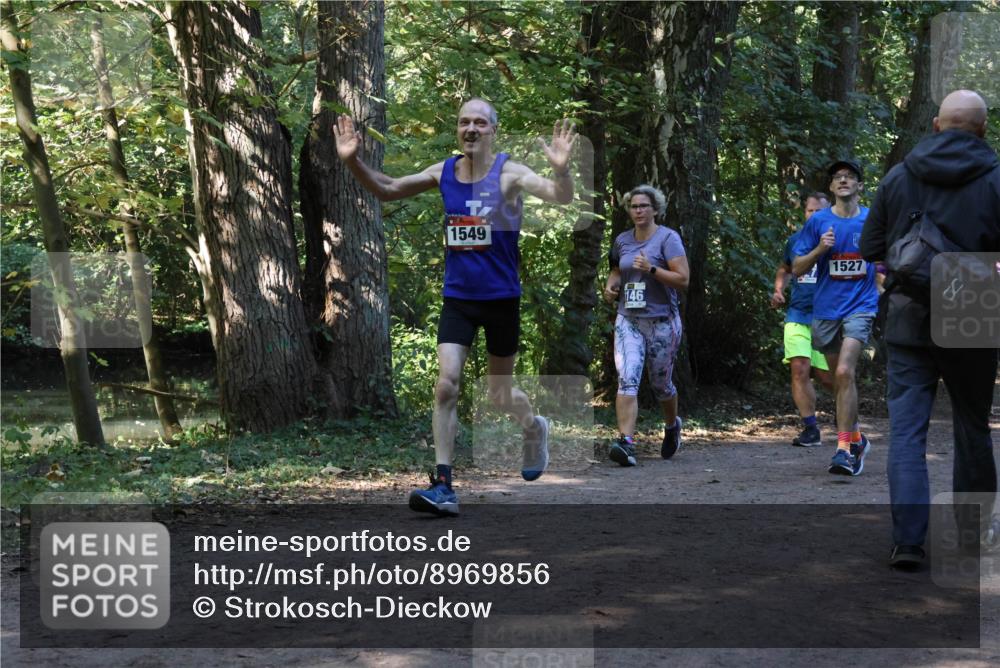28.09.2025 - 33. Volkslauf durch das schöne Alstertal Strokosch-Dieckow http://msf.ph/oto/8969856 28.09.2025 11:37:10 Laufen 1549, 146, 1527 meine-sportfotos.de