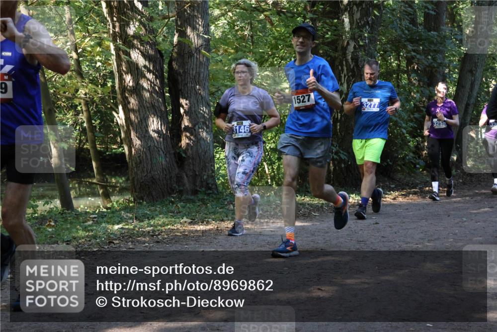 28.09.2025 - 33. Volkslauf durch das schöne Alstertal Strokosch-Dieckow http://msf.ph/oto/8969862 28.09.2025 11:37:12 Laufen 9, 3146, 1527, 3277, 3258 meine-sportfotos.de