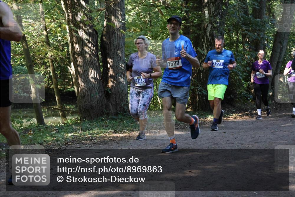 28.09.2025 - 33. Volkslauf durch das schöne Alstertal Strokosch-Dieckow http://msf.ph/oto/8969863 28.09.2025 11:37:12 Laufen 3146, 1527, 3277, 325 meine-sportfotos.de