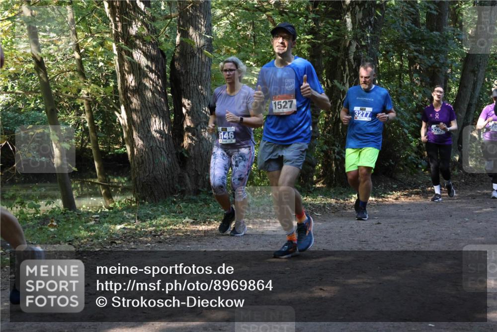 28.09.2025 - 33. Volkslauf durch das schöne Alstertal Strokosch-Dieckow http://msf.ph/oto/8969864 28.09.2025 11:37:12 Laufen 3146, 1527, 3277, 325 meine-sportfotos.de