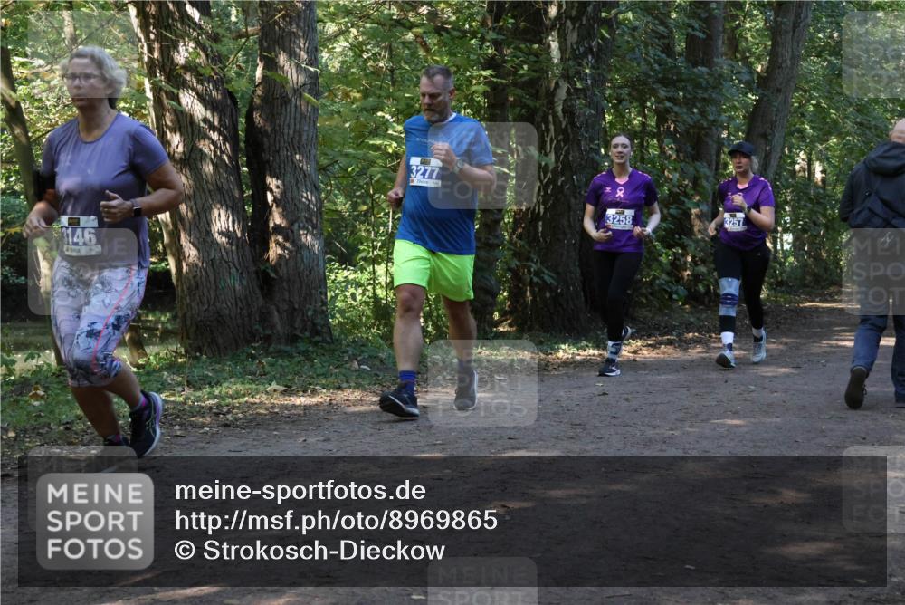 28.09.2025 - 33. Volkslauf durch das schöne Alstertal Strokosch-Dieckow http://msf.ph/oto/8969865 28.09.2025 11:37:13 Laufen 146, 3277, 3258, 3257 meine-sportfotos.de