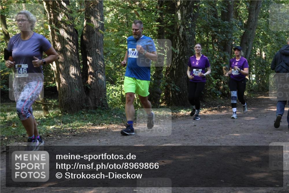 28.09.2025 - 33. Volkslauf durch das schöne Alstertal Strokosch-Dieckow http://msf.ph/oto/8969866 28.09.2025 11:37:13 Laufen 3146, 3277, 8, 3257 meine-sportfotos.de
