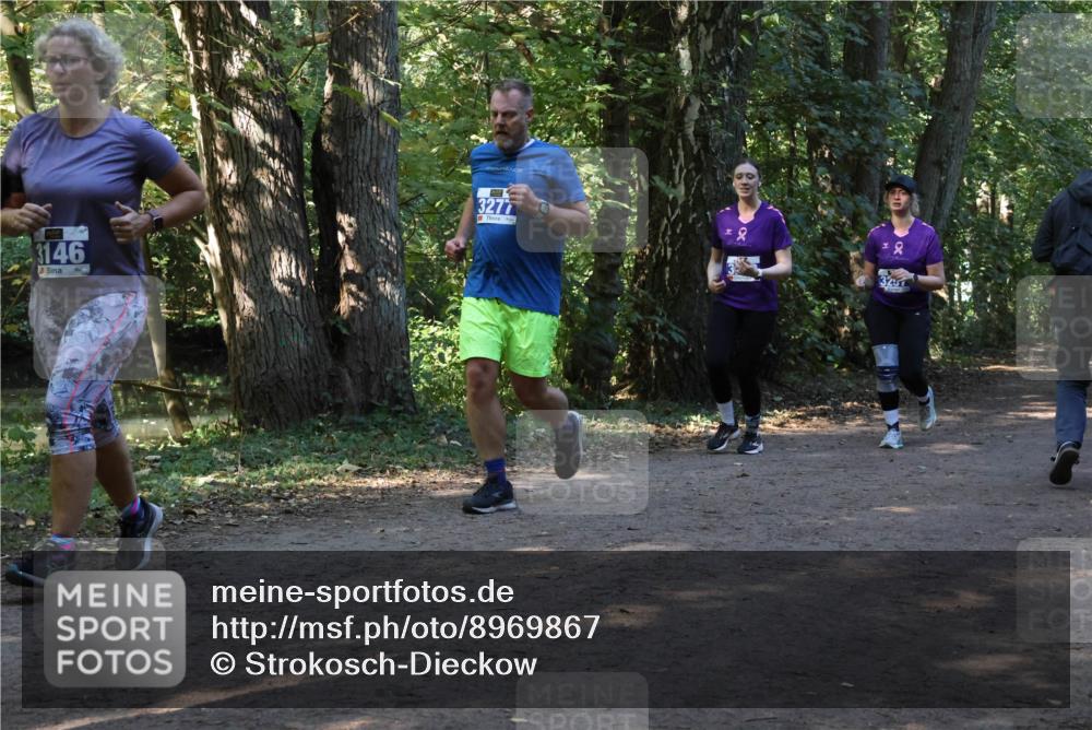 28.09.2025 - 33. Volkslauf durch das schöne Alstertal Strokosch-Dieckow http://msf.ph/oto/8969867 28.09.2025 11:37:13 Laufen 3146, 3277, 2, 3257 meine-sportfotos.de