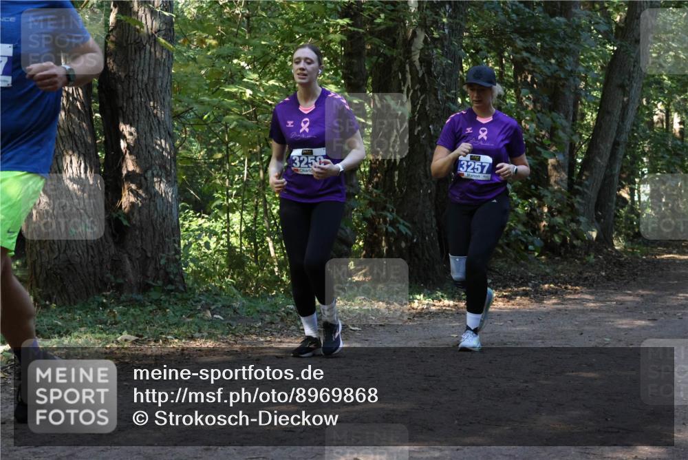 28.09.2025 - 33. Volkslauf durch das schöne Alstertal Strokosch-Dieckow http://msf.ph/oto/8969868 28.09.2025 11:37:14 Laufen 2, 325, 2, 3257 meine-sportfotos.de