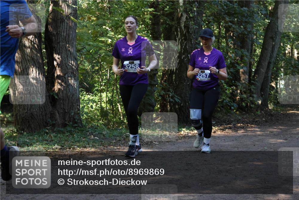 28.09.2025 - 33. Volkslauf durch das schöne Alstertal Strokosch-Dieckow http://msf.ph/oto/8969869 28.09.2025 11:37:14 Laufen 3258, 3257 meine-sportfotos.de