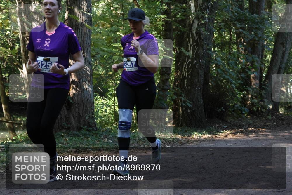 28.09.2025 - 33. Volkslauf durch das schöne Alstertal Strokosch-Dieckow http://msf.ph/oto/8969870 28.09.2025 11:37:15 Laufen 2, 325, 3257 meine-sportfotos.de