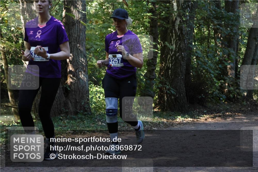 28.09.2025 - 33. Volkslauf durch das schöne Alstertal Strokosch-Dieckow http://msf.ph/oto/8969872 28.09.2025 11:37:15 Laufen 3257 meine-sportfotos.de