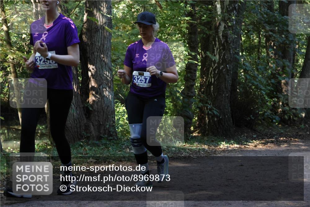 28.09.2025 - 33. Volkslauf durch das schöne Alstertal Strokosch-Dieckow http://msf.ph/oto/8969873 28.09.2025 11:37:15 Laufen 3250, 3257 meine-sportfotos.de