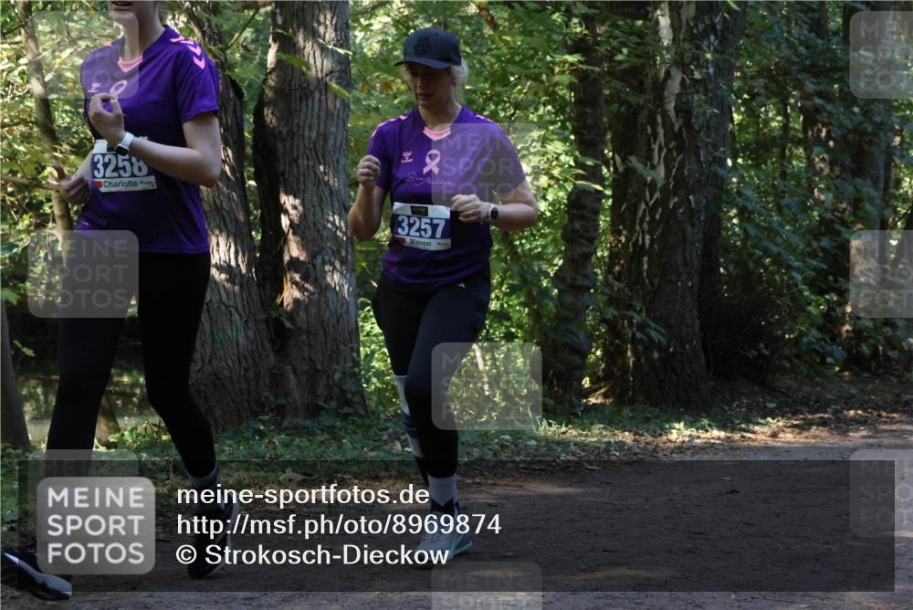 28.09.2025 - 33. Volkslauf durch das schöne Alstertal Strokosch-Dieckow http://msf.ph/oto/8969874 28.09.2025 11:37:15 Laufen 3258, 3257 meine-sportfotos.de