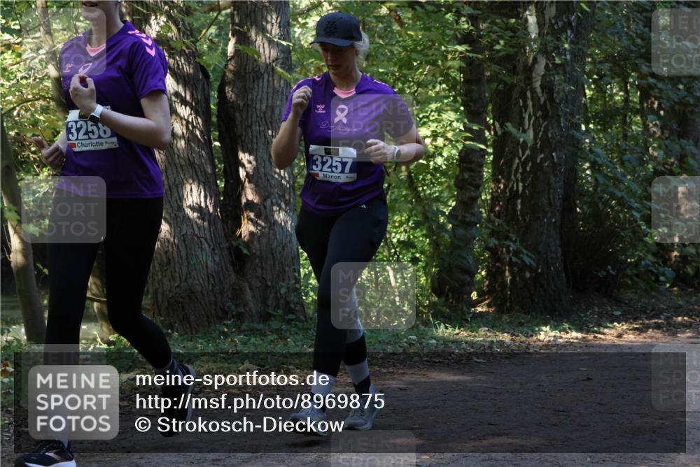 28.09.2025 - 33. Volkslauf durch das schöne Alstertal Strokosch-Dieckow http://msf.ph/oto/8969875 28.09.2025 11:37:15 Laufen 3256, 3257 meine-sportfotos.de