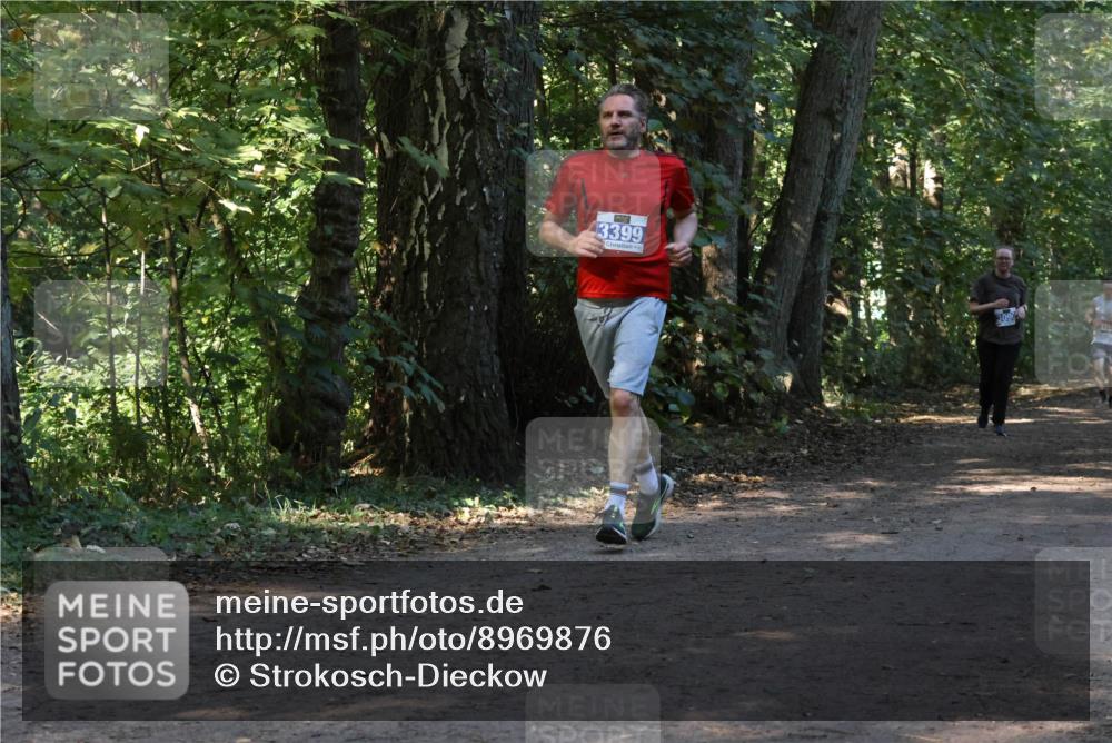 28.09.2025 - 33. Volkslauf durch das schöne Alstertal Strokosch-Dieckow http://msf.ph/oto/8969876 28.09.2025 11:37:20 Laufen 3399, 3090 meine-sportfotos.de