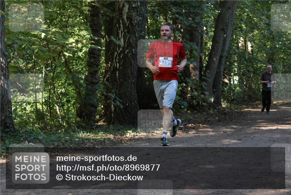 28.09.2025 - 33. Volkslauf durch das schöne Alstertal Strokosch-Dieckow http://msf.ph/oto/8969877 28.09.2025 11:37:20 Laufen 3399 meine-sportfotos.de