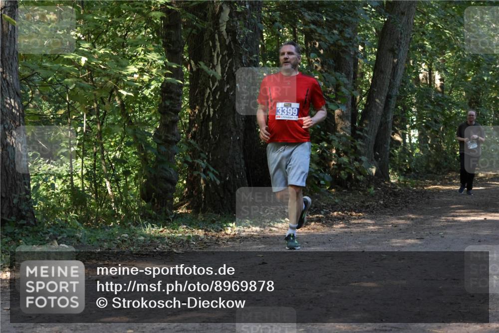 28.09.2025 - 33. Volkslauf durch das schöne Alstertal Strokosch-Dieckow http://msf.ph/oto/8969878 28.09.2025 11:37:20 Laufen 3399 meine-sportfotos.de