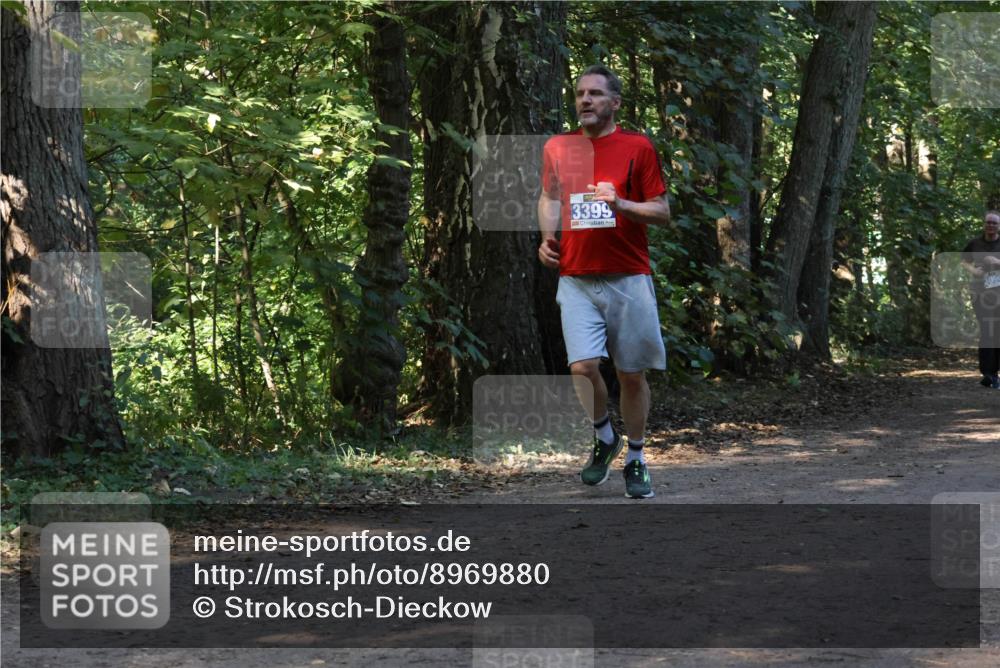 28.09.2025 - 33. Volkslauf durch das schöne Alstertal Strokosch-Dieckow http://msf.ph/oto/8969880 28.09.2025 11:37:20 Laufen 3399 meine-sportfotos.de