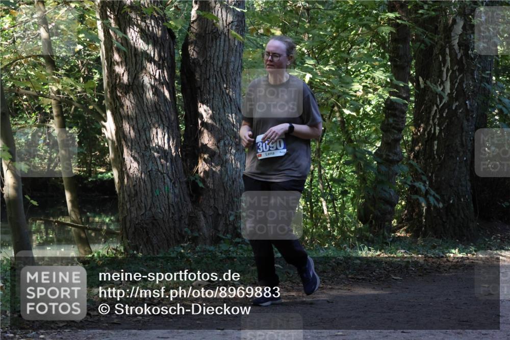 28.09.2025 - 33. Volkslauf durch das schöne Alstertal Strokosch-Dieckow http://msf.ph/oto/8969883 28.09.2025 11:37:29 Laufen 3090 meine-sportfotos.de