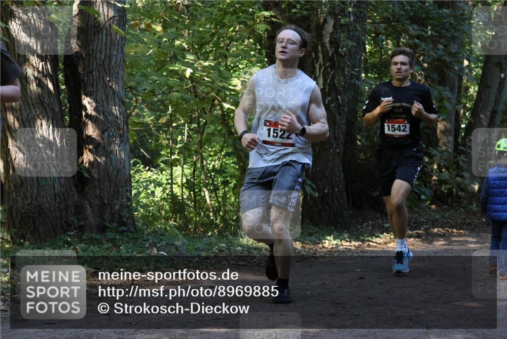 28.09.2025 - 33. Volkslauf durch das schöne Alstertal Strokosch-Dieckow http://msf.ph/oto/8969885 28.09.2025 11:37:30 Laufen 1522, 1542 meine-sportfotos.de