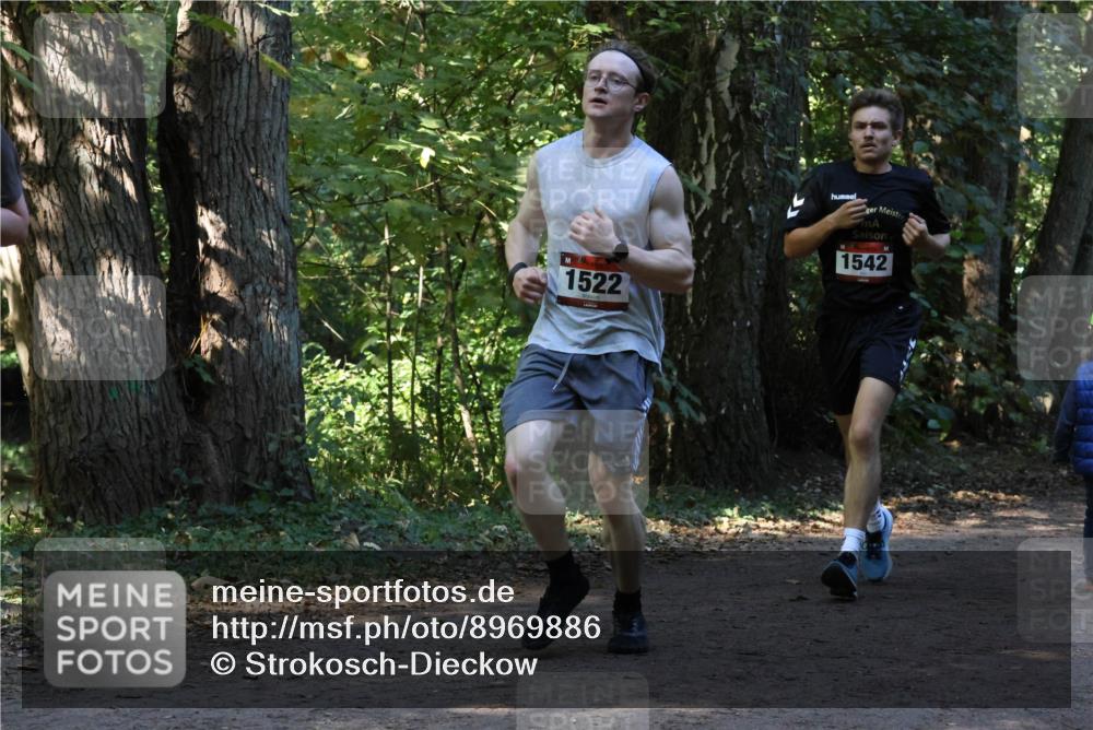 28.09.2025 - 33. Volkslauf durch das schöne Alstertal Strokosch-Dieckow http://msf.ph/oto/8969886 28.09.2025 11:37:30 Laufen 1522, 1542 meine-sportfotos.de
