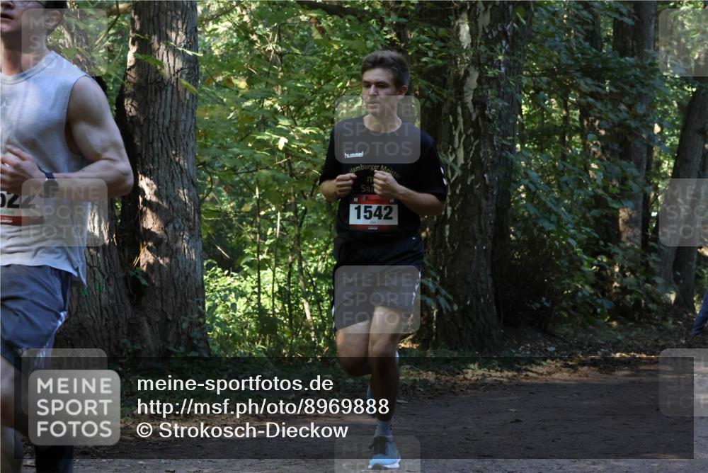 28.09.2025 - 33. Volkslauf durch das schöne Alstertal Strokosch-Dieckow http://msf.ph/oto/8969888 28.09.2025 11:37:31 Laufen 522, 1542 meine-sportfotos.de