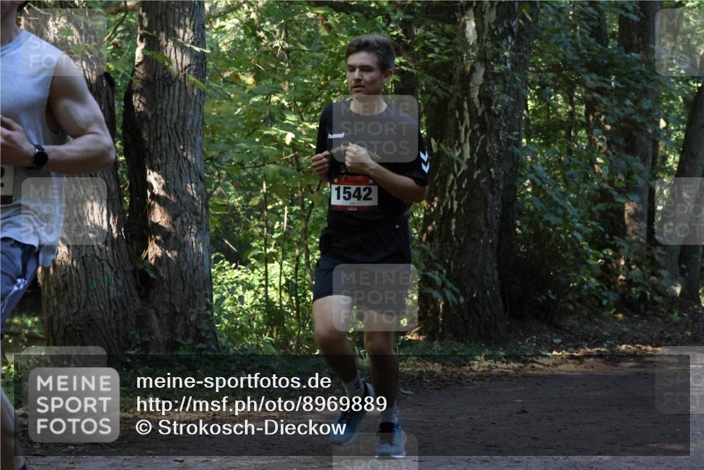 28.09.2025 - 33. Volkslauf durch das schöne Alstertal Strokosch-Dieckow http://msf.ph/oto/8969889 28.09.2025 11:37:31 Laufen 1542 meine-sportfotos.de
