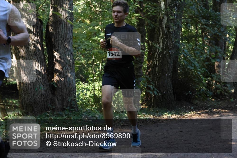 28.09.2025 - 33. Volkslauf durch das schöne Alstertal Strokosch-Dieckow http://msf.ph/oto/8969890 28.09.2025 11:37:31 Laufen 1542 meine-sportfotos.de