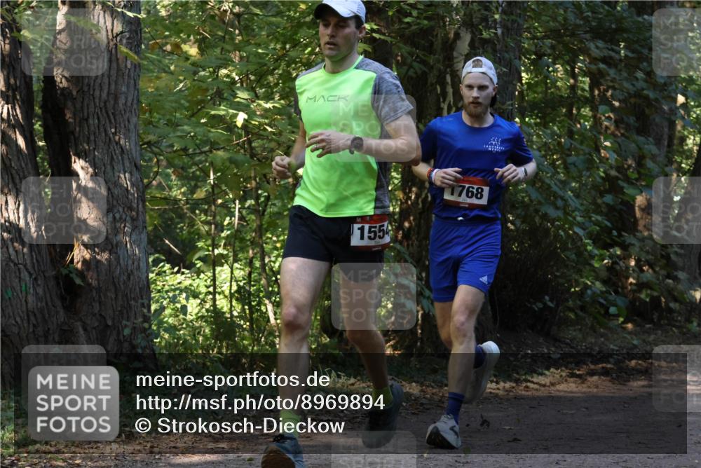 28.09.2025 - 33. Volkslauf durch das schöne Alstertal Strokosch-Dieckow http://msf.ph/oto/8969894 28.09.2025 11:37:33 Laufen 1554, 1768 meine-sportfotos.de