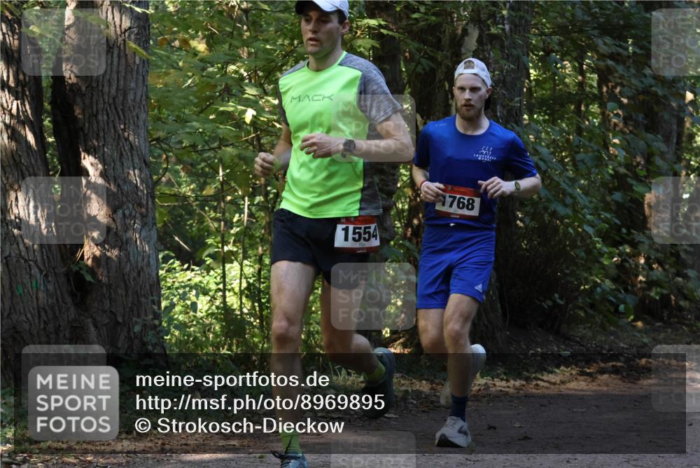 28.09.2025 - 33. Volkslauf durch das schöne Alstertal Strokosch-Dieckow http://msf.ph/oto/8969895 28.09.2025 11:37:33 Laufen 1554, 1768 meine-sportfotos.de