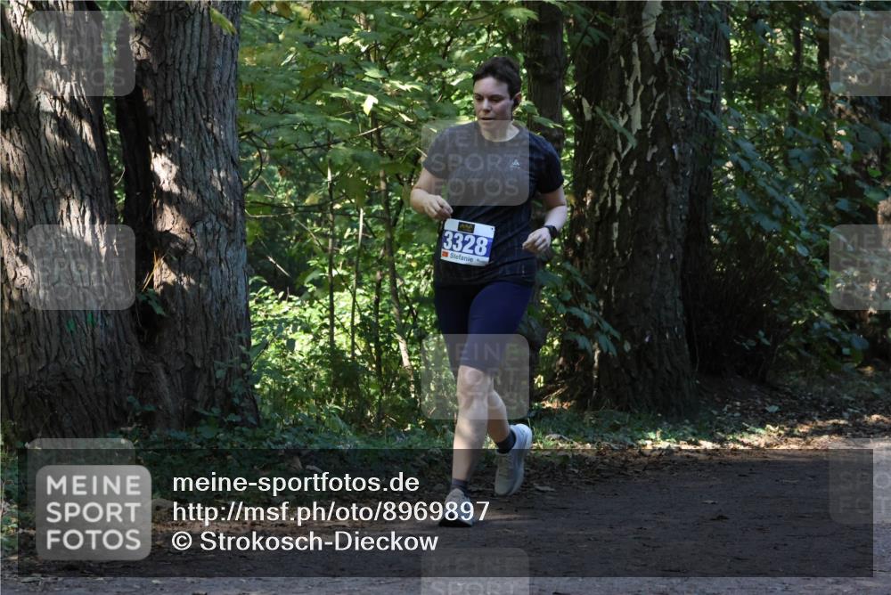 28.09.2025 - 33. Volkslauf durch das schöne Alstertal Strokosch-Dieckow http://msf.ph/oto/8969897 28.09.2025 11:37:41 Laufen 3328 meine-sportfotos.de