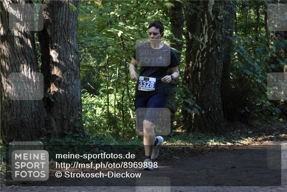 28.09.2025 - 33. Volkslauf durch das schöne Alstertal Strokosch-Dieckow http://msf.ph/oto/8969898 28.09.2025 11:37:41 Laufen 3328 meine-sportfotos.de