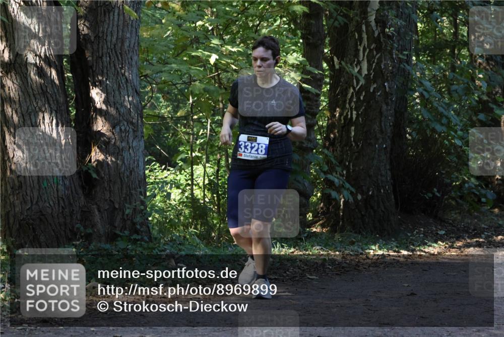 28.09.2025 - 33. Volkslauf durch das schöne Alstertal Strokosch-Dieckow http://msf.ph/oto/8969899 28.09.2025 11:37:42 Laufen 3328 meine-sportfotos.de