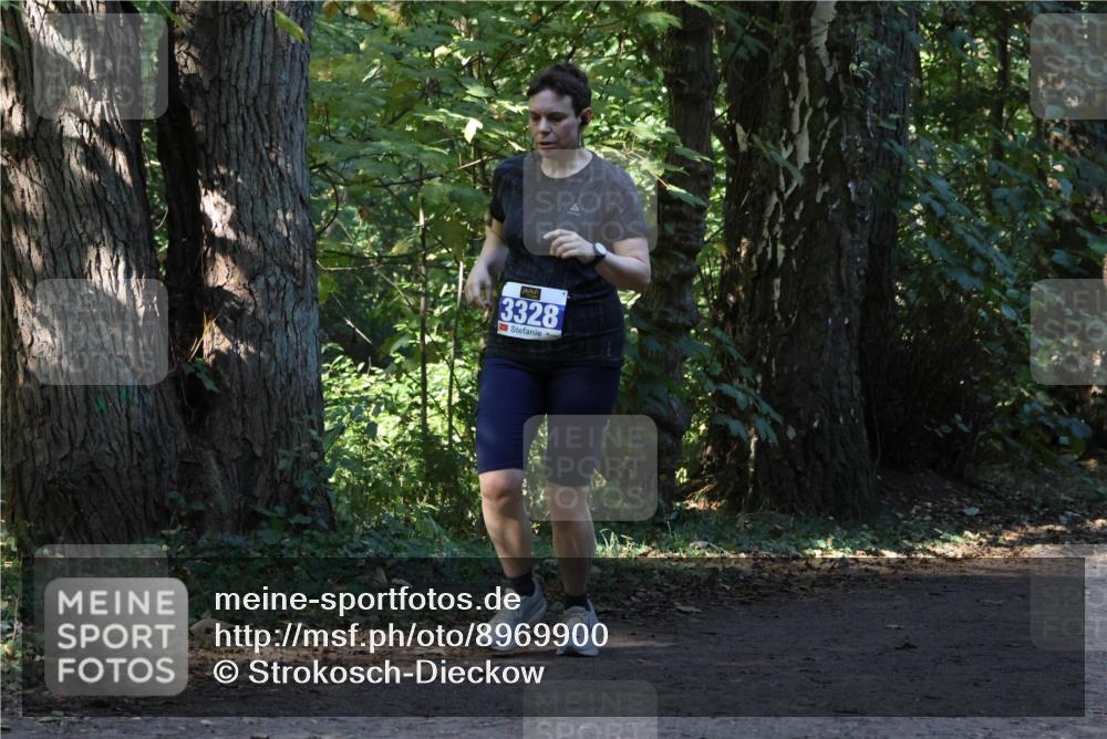 28.09.2025 - 33. Volkslauf durch das schöne Alstertal Strokosch-Dieckow http://msf.ph/oto/8969900 28.09.2025 11:37:42 Laufen 3328, 9 meine-sportfotos.de