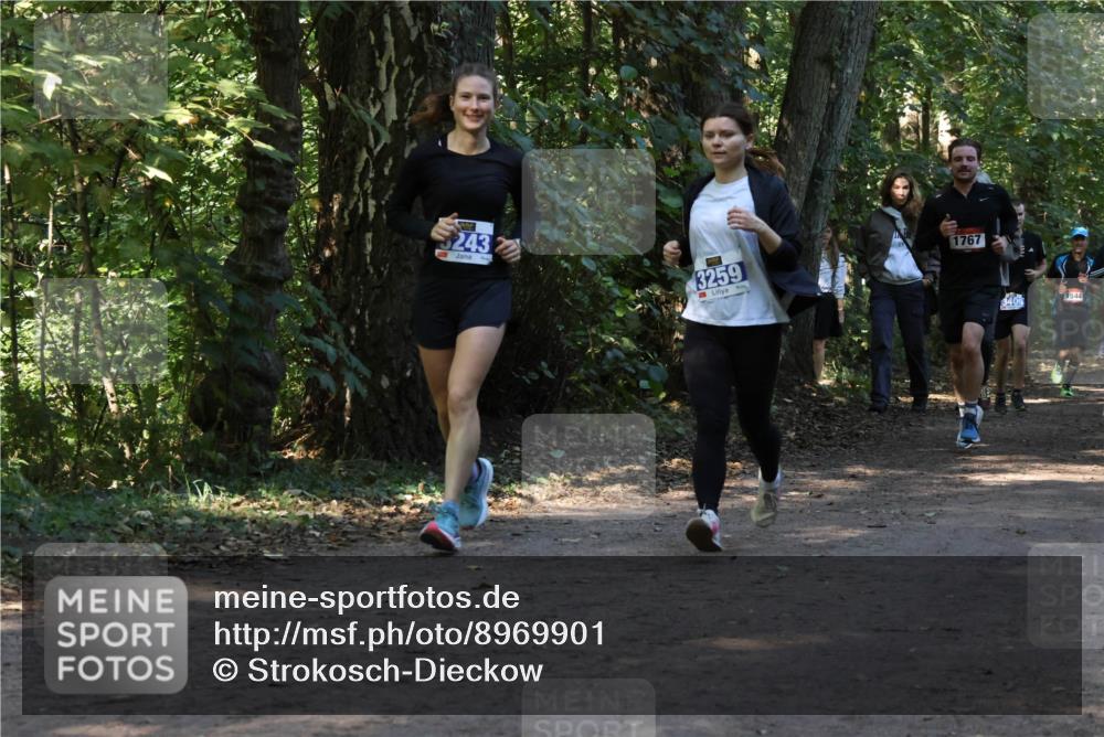28.09.2025 - 33. Volkslauf durch das schöne Alstertal Strokosch-Dieckow http://msf.ph/oto/8969901 28.09.2025 11:37:51 Laufen 243, 3259, 1767, 3409, 1544 meine-sportfotos.de