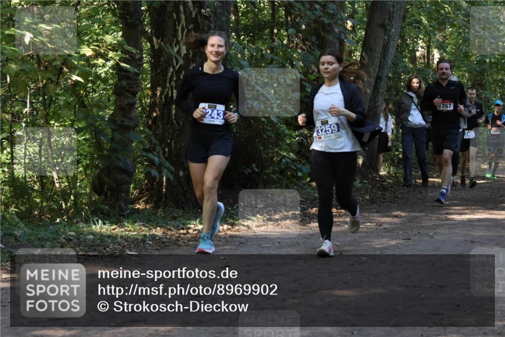 28.09.2025 - 33. Volkslauf durch das schöne Alstertal Strokosch-Dieckow http://msf.ph/oto/8969902 28.09.2025 11:37:51 Laufen 243, 3259, 1767, 3409, 1544 meine-sportfotos.de