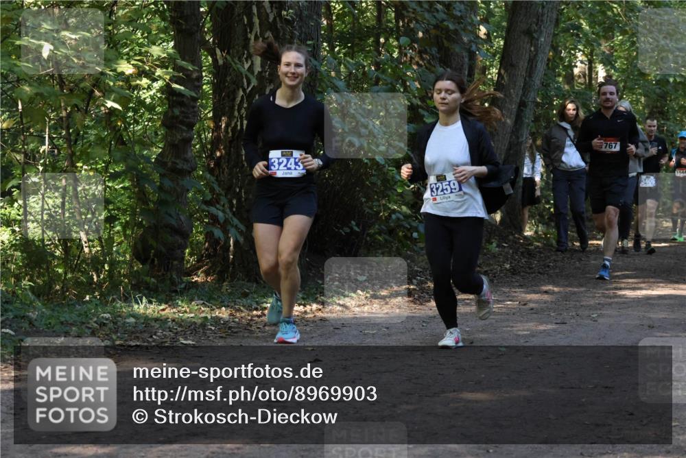 28.09.2025 - 33. Volkslauf durch das schöne Alstertal Strokosch-Dieckow http://msf.ph/oto/8969903 28.09.2025 11:37:51 Laufen 3243, 3259, 767, 1544, 3409 meine-sportfotos.de